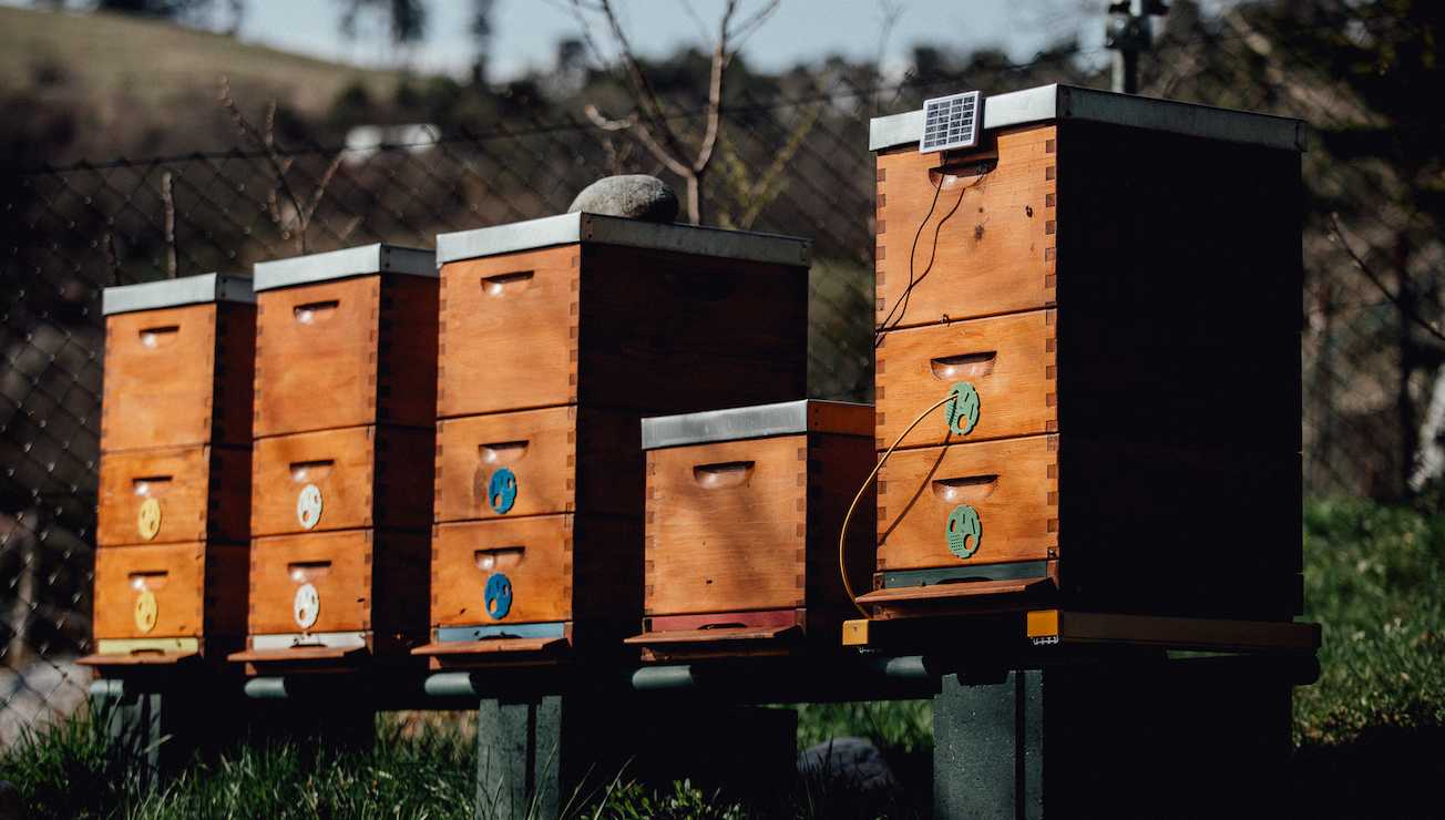 3Bee hives