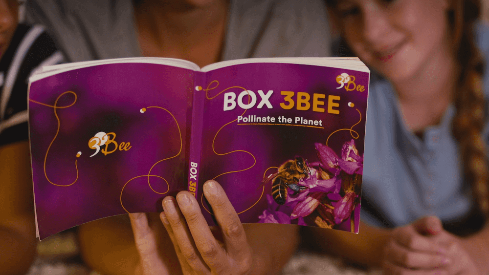 Box 3Bee il cofanetto da regalare per proteggere le api